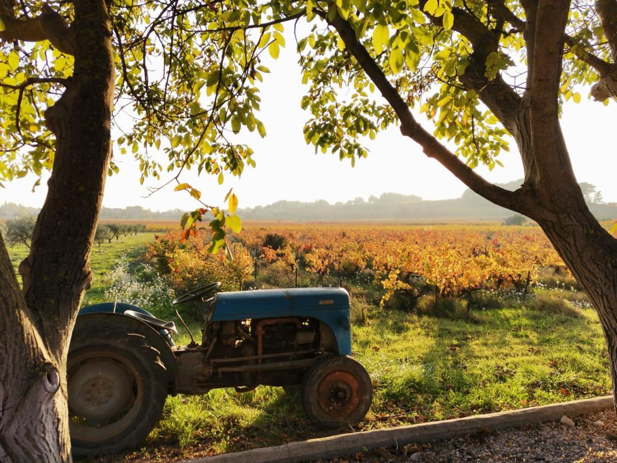 En Provence 