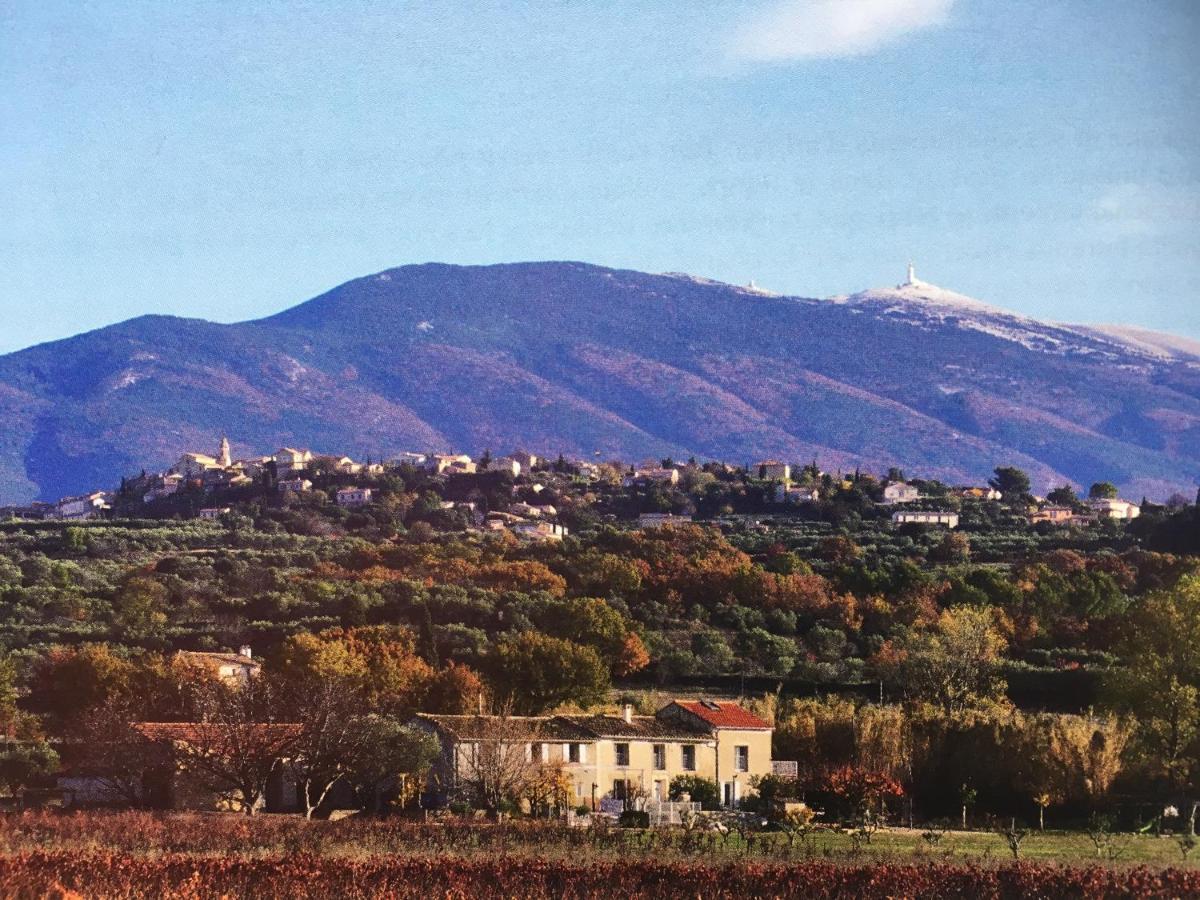 En Provence 