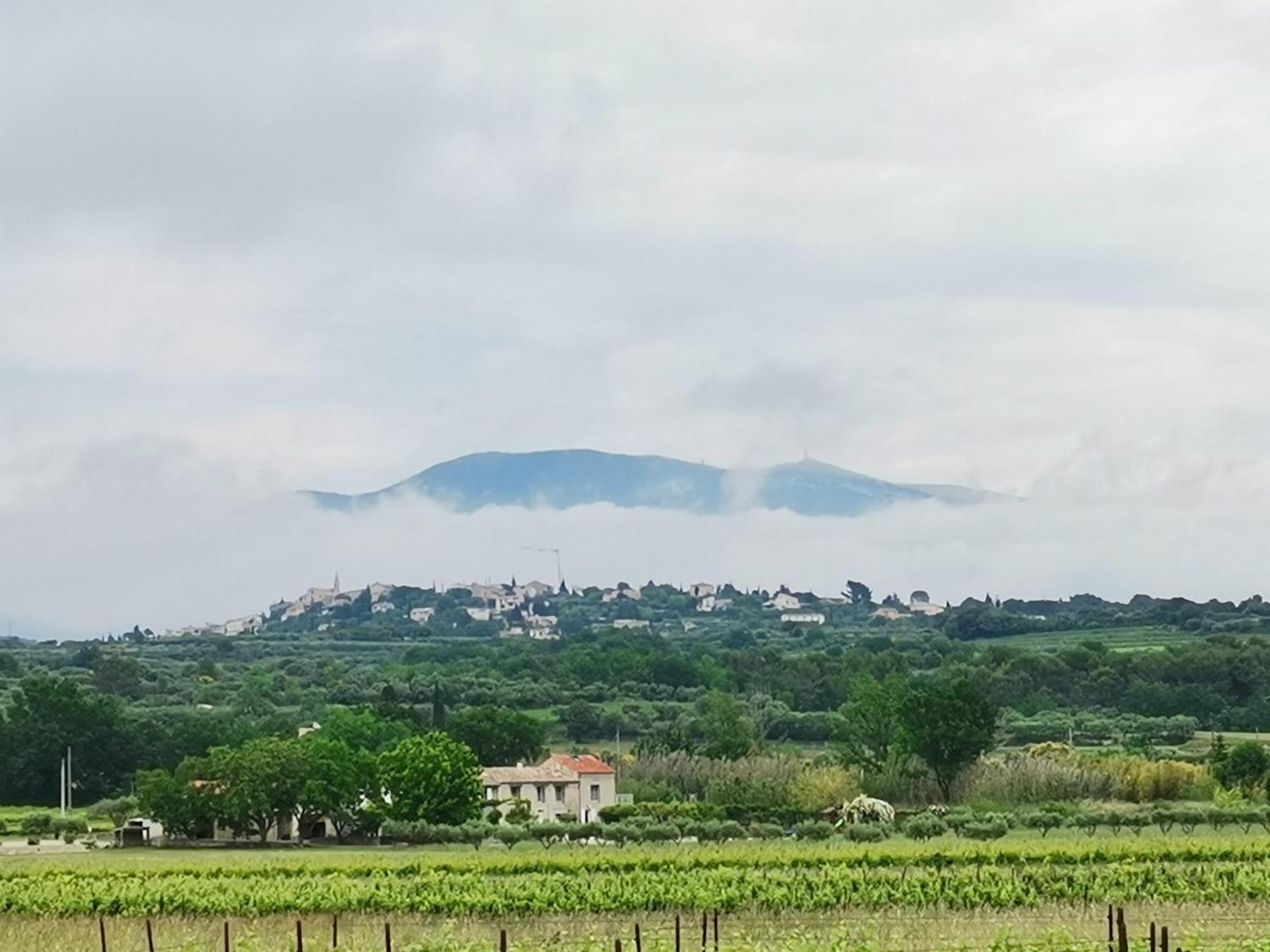 En Provence 