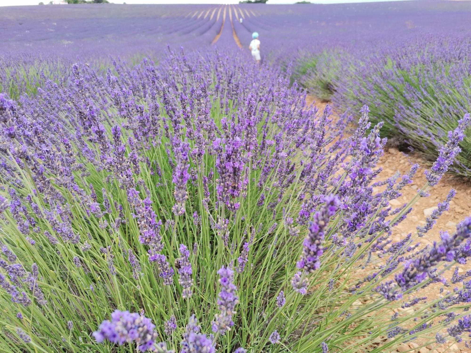 En Provence Сasa de vacaciones Modene