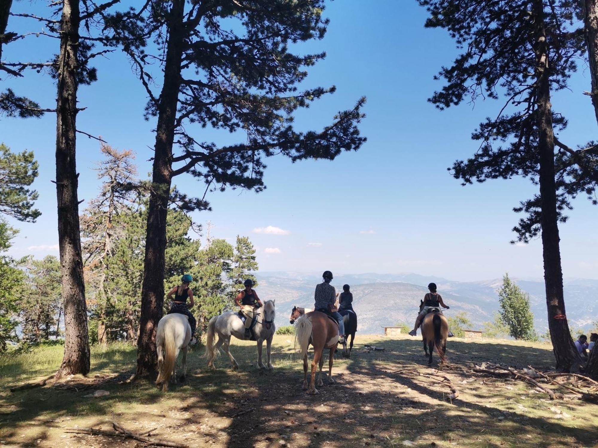 Hébergement de vacances En Provence 