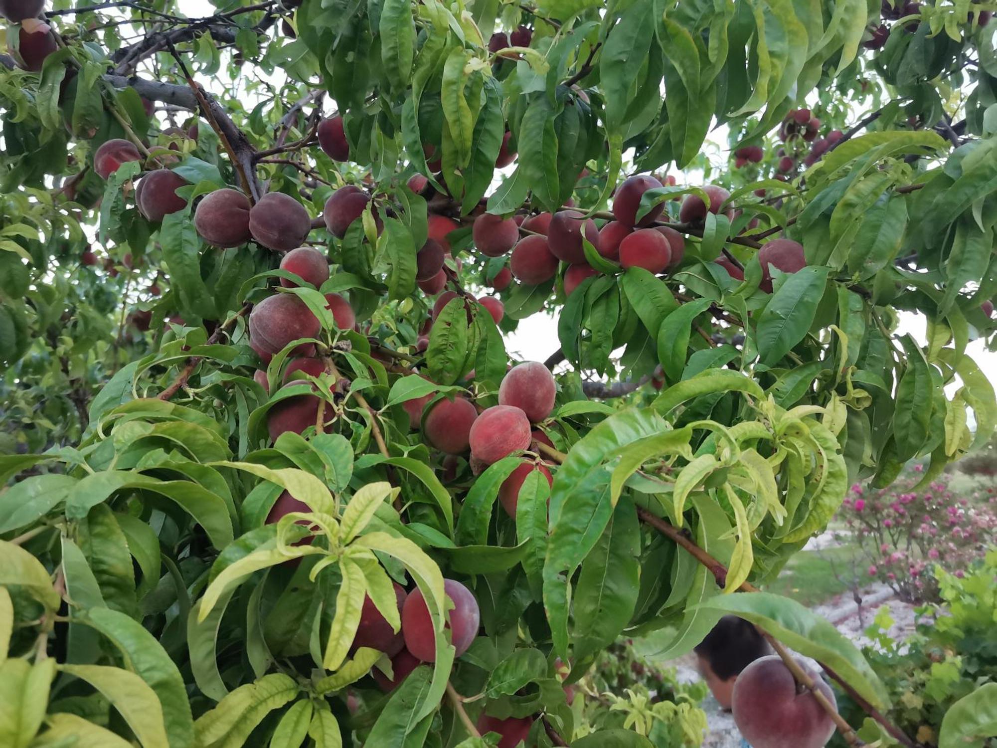 Hébergement de vacances En Provence 