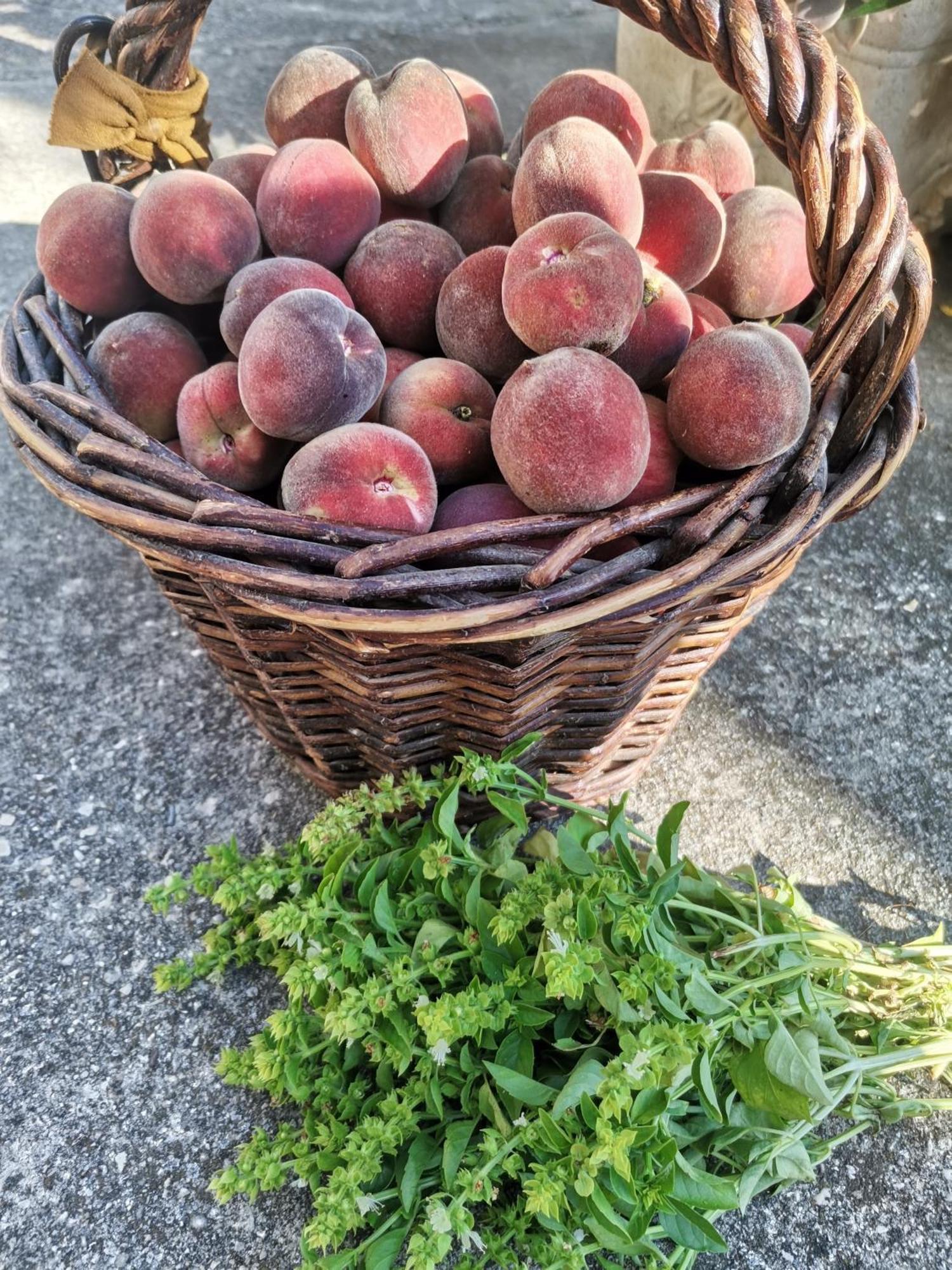 En Provence Сasa de vacaciones