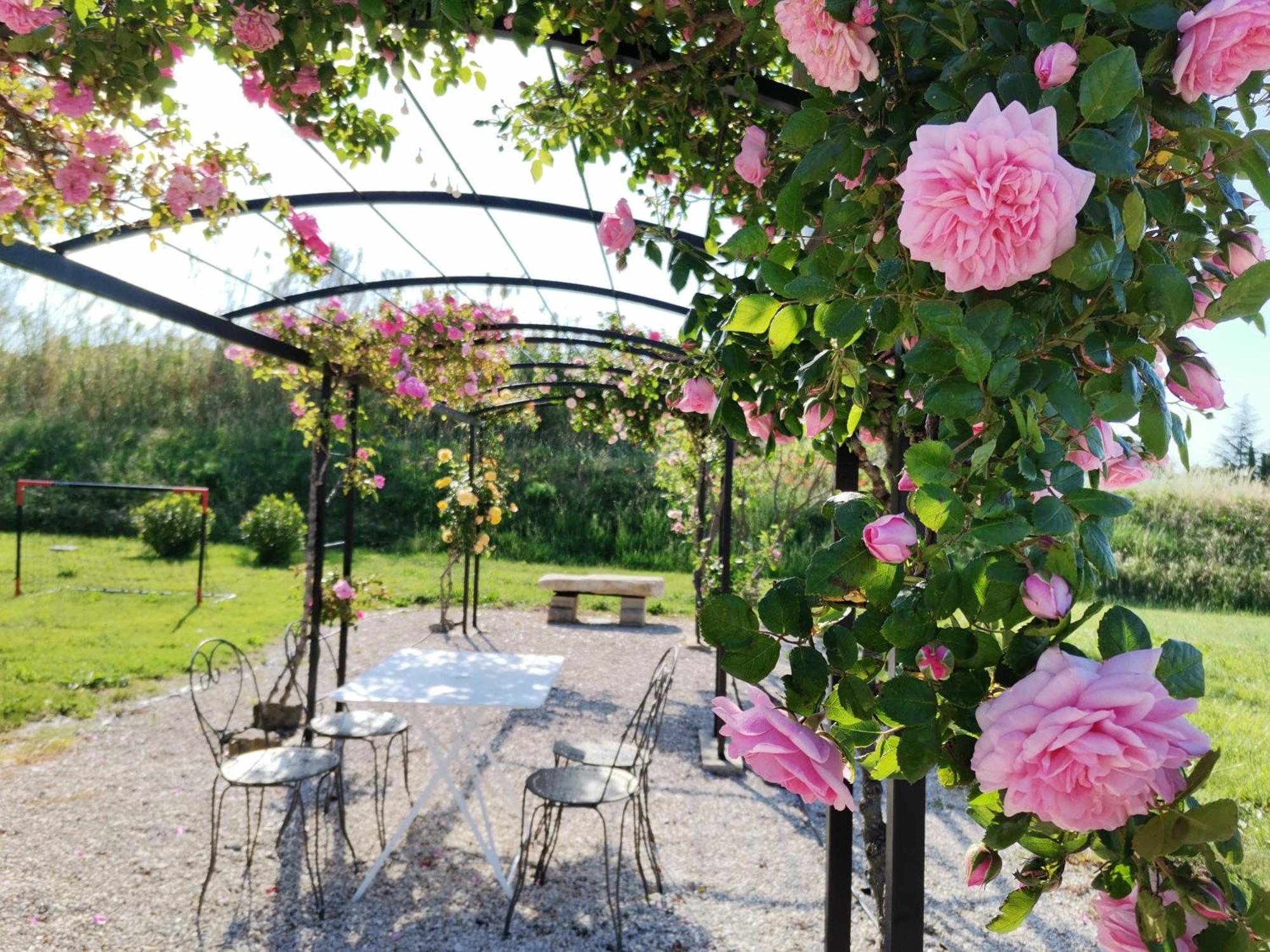 En Provence Modene